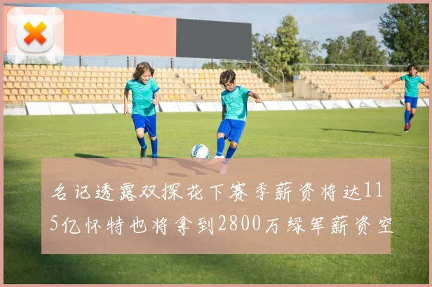 名记透露双探花下赛季薪资将达115亿怀特也将拿到2800万绿军薪资空间依旧紧张